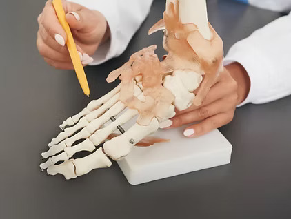 Consumer Review Site